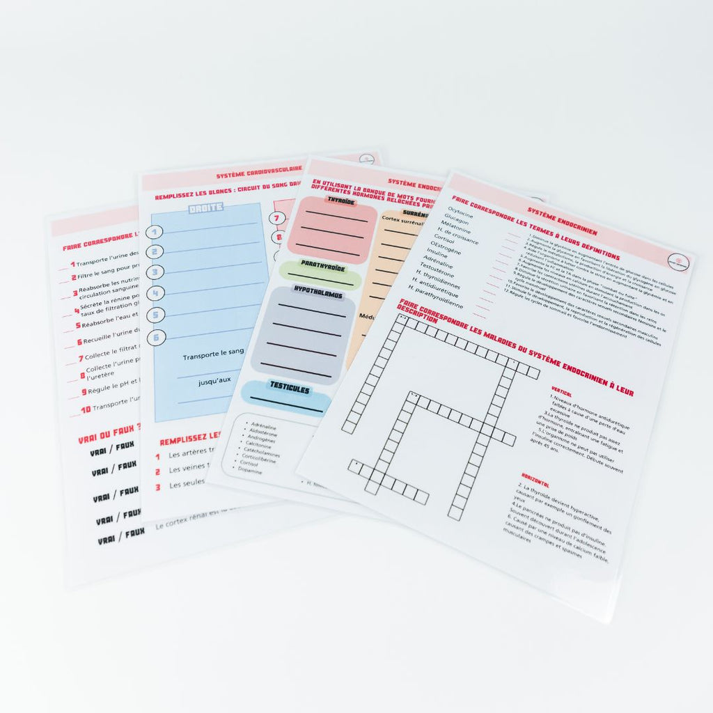 Anatomie - Physiologie