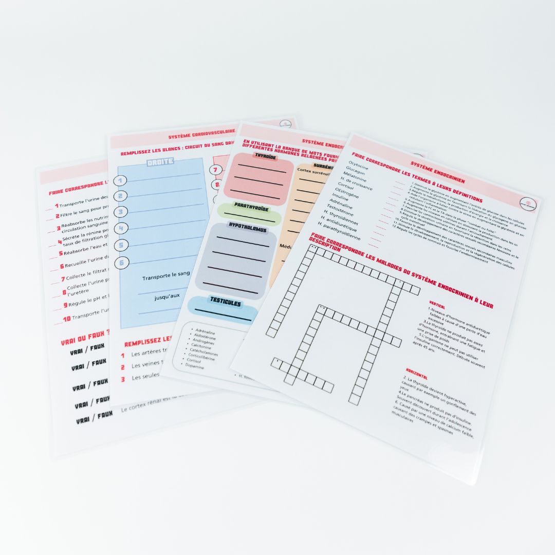 Anatomie - Physiologie