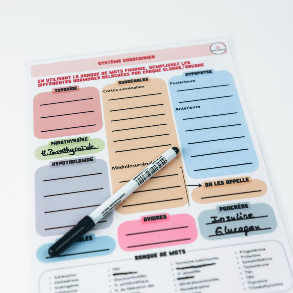 Anatomie - Physiologie