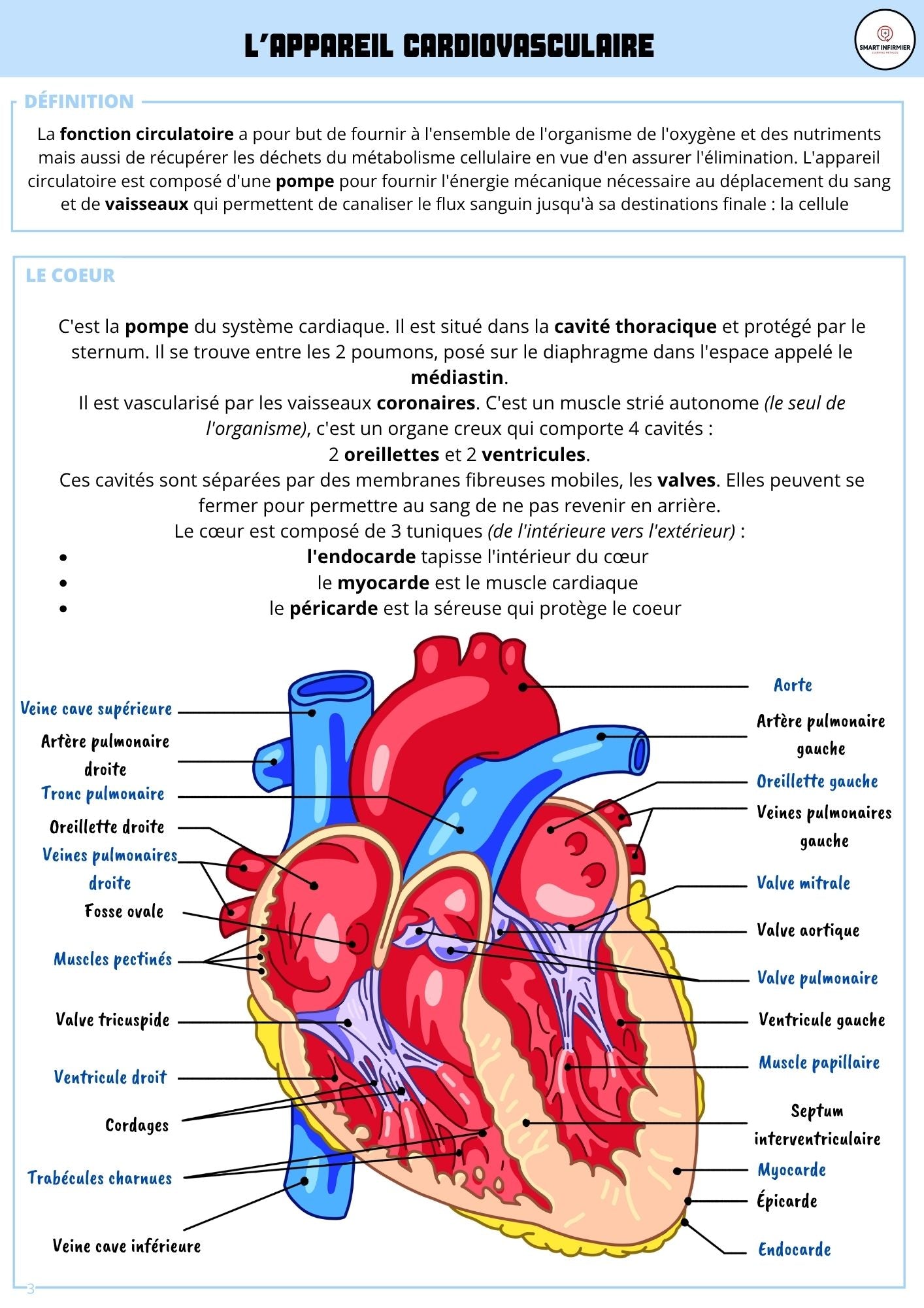 Ebook Cardiologie pour Infirmiers